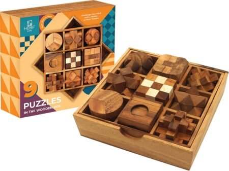 BSIRI 9 in 1 Wooden Brain Teaser