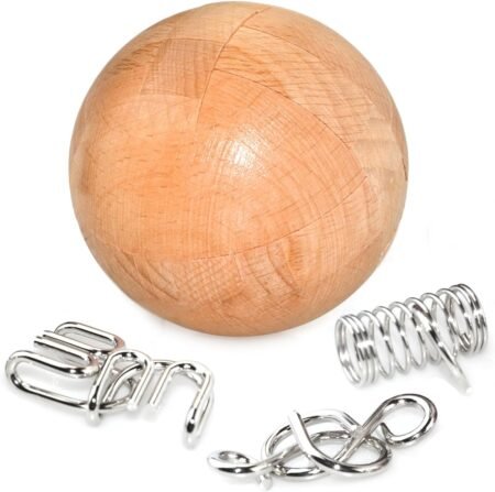 KINGOU Wooden Brain Teaser Puzzle Educational