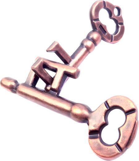Traditional Metal Brain Teaser IQ Kids